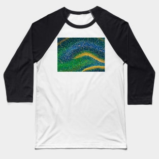 Hippocampus brain tissue (C009/5824) Baseball T-Shirt